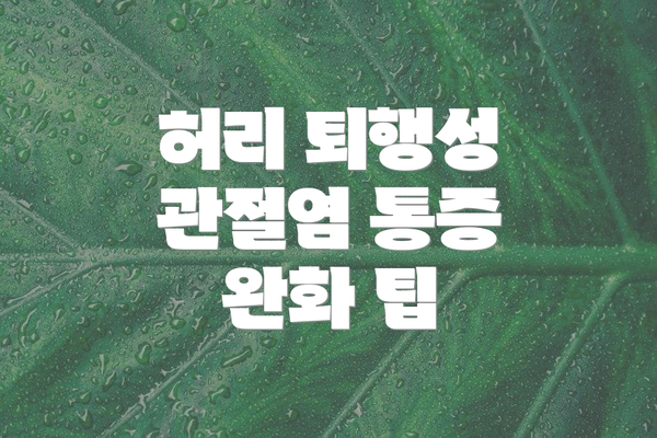 허리 퇴행성 관절염 통증 완화 팁