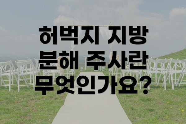 허벅지 지방 분해 주사란 무엇인가요?