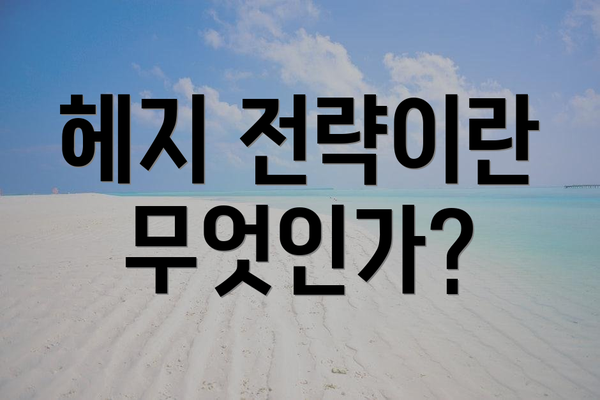 헤지 전략이란 무엇인가?