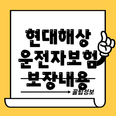 현대해상 운전자보험 보장내용