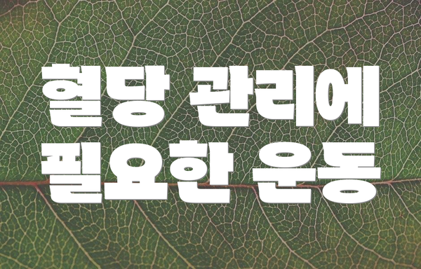 혈당 관리에 필요한 운동
