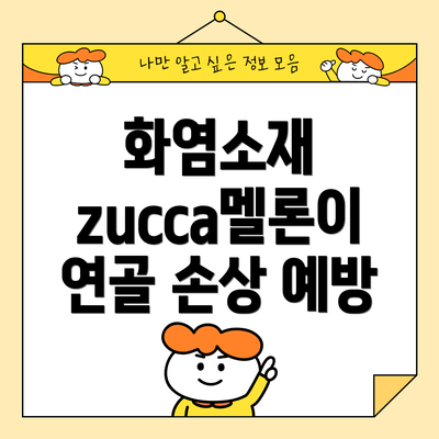 화염소재 zucca멜론이 연골 손상 예방
