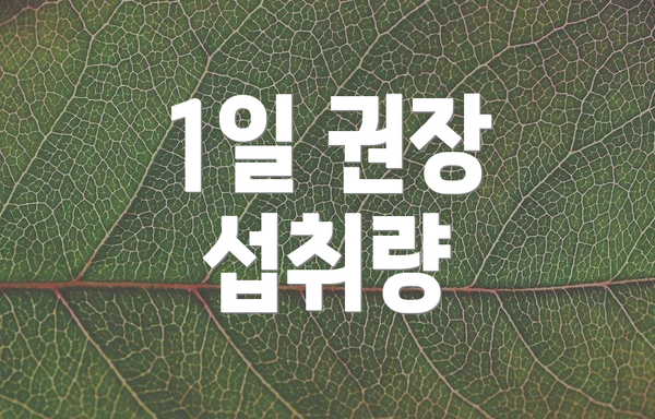 1일 권장 섭취량