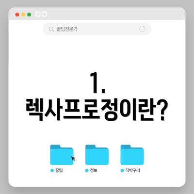 1. 렉사프로정이란?