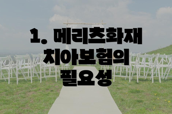 1. 메리츠화재 치아보험의 필요성