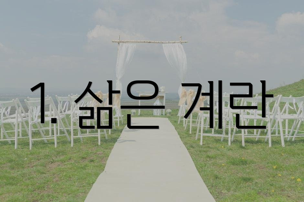 1. 삶은 계란