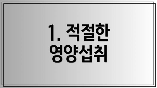 1. 적절한 영양섭취