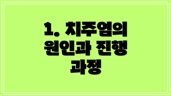 1. 치주염의 원인과 진행 과정