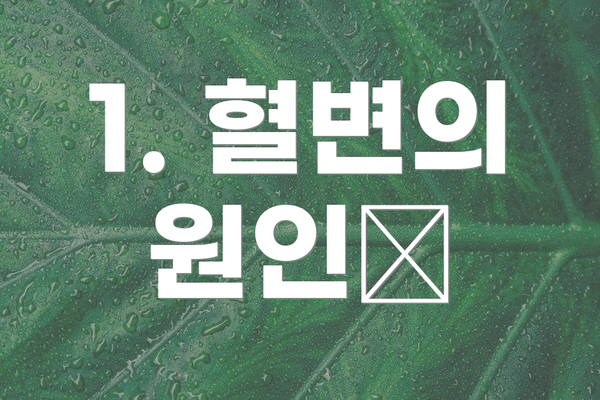 1. 혈변의 원인🤔