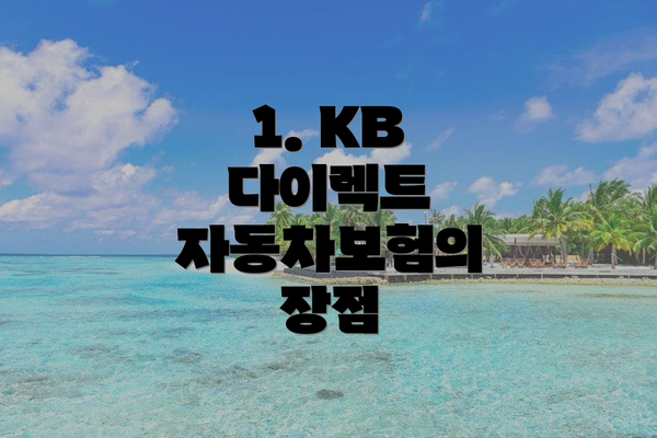 1. KB 다이렉트 자동차보험의 장점