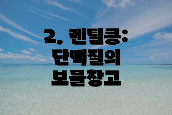 2. 렌틸콩: 단백질의 보물창고
