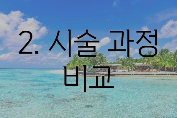 2. 시술 과정 비교