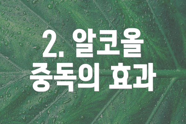 2. 알코올 중독의 효과