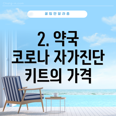 2. 약국 코로나 자가진단 키트의 가격