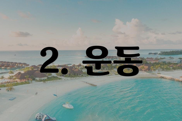 2. 운동