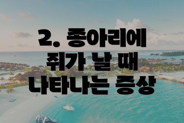 2. 종아리에 쥐가 날 때 나타나는 증상