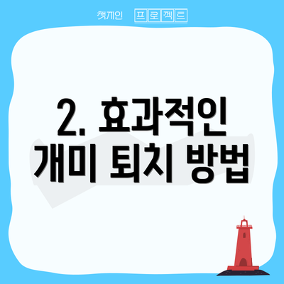 2. 효과적인 개미 퇴치 방법
