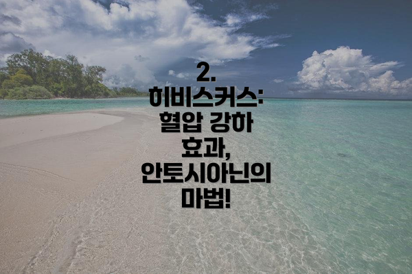 2. 히비스커스: 혈압 강하 효과, 안토시아닌의 마법!