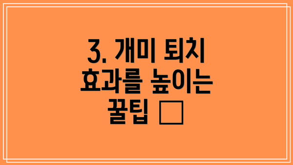 3. 개미 퇴치 효과를 높이는 꿀팁 ✅