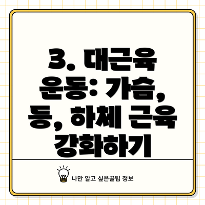 3. 대근육 운동: 가슴, 등, 하체 근육 강화하기