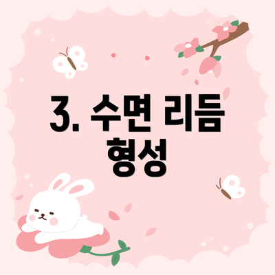 3. 수면 리듬 형성