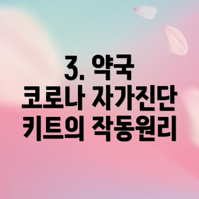 3. 약국 코로나 자가진단 키트의 작동원리