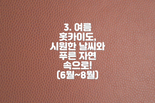 3. 여름 홋카이도, 시원한 날씨와 푸른 자연 속으로! (6월~8월)