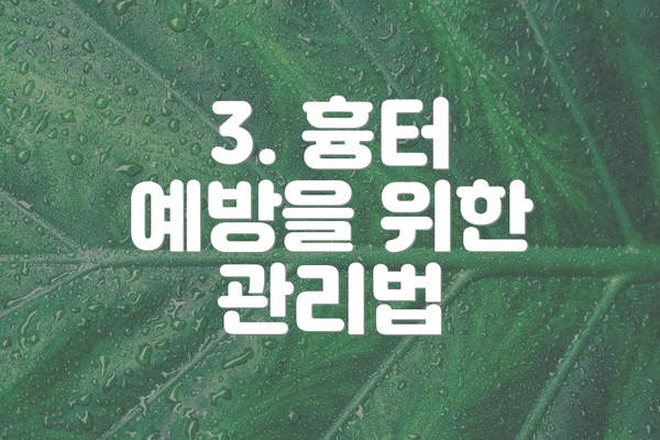 3. 흉터 예방을 위한 관리법