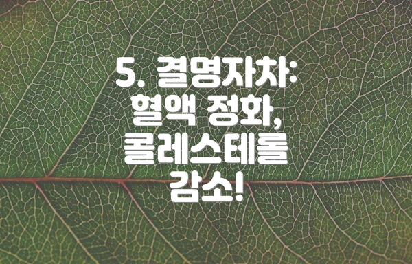 5. 결명자차: 혈액 정화, 콜레스테롤 감소!