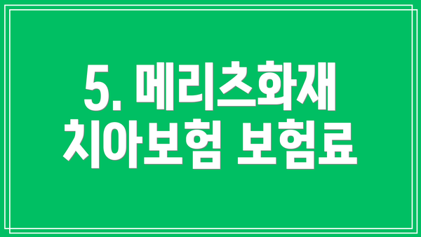 5. 메리츠화재 치아보험 보험료
