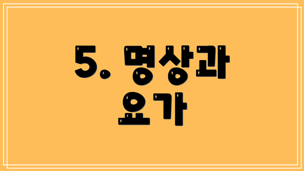 5. 명상과 요가