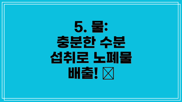 5. 물: 충분한 수분 섭취로 노폐물 배출! 💧