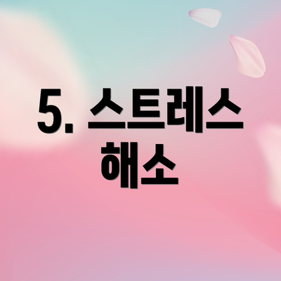 5. 스트레스 해소