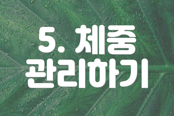 5. 체중 관리하기