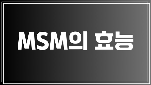 MSM의 효능