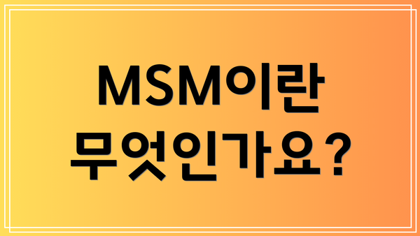 MSM이란 무엇인가요?