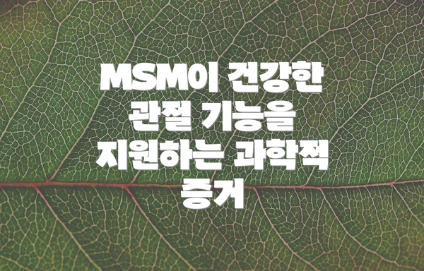 MSM이 건강한 관절 기능을 지원하는 과학적 증거
