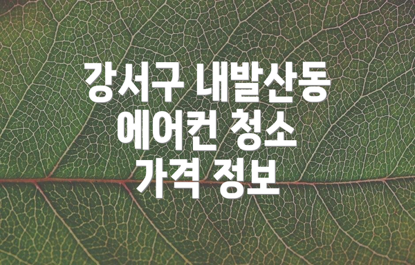 강서구 내발산동 에어컨 청소 가격 정보