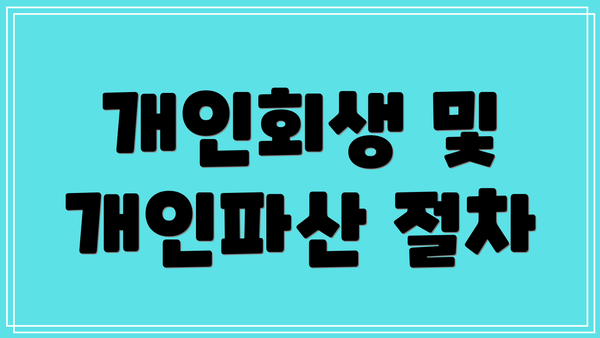 개인회생 및 개인파산 절차