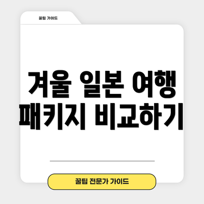 겨울 일본 여행 패키지 비교하기