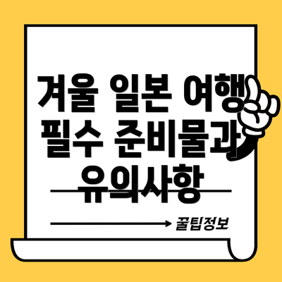 겨울 일본 여행 필수 준비물과 유의사항