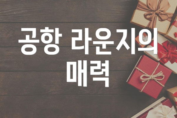 공항 라운지의 매력