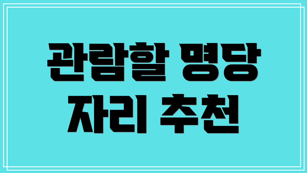 관람할 명당 자리 추천