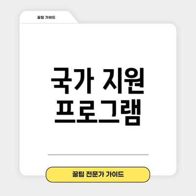 국가 지원 프로그램