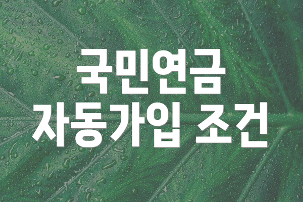 국민연금 자동가입 조건