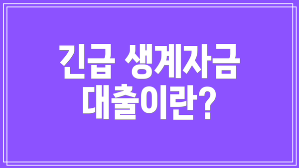 긴급 생계자금 대출이란?