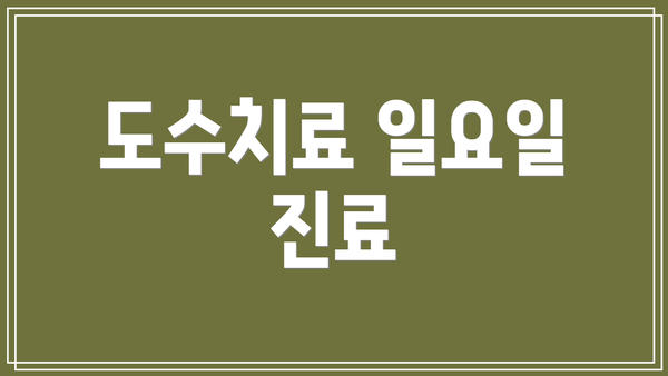 도수치료 일요일 진료