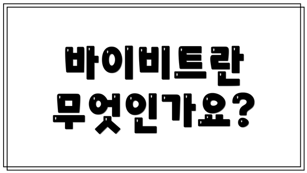 바이비트란 무엇인가요?