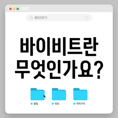 바이비트란 무엇인가요?