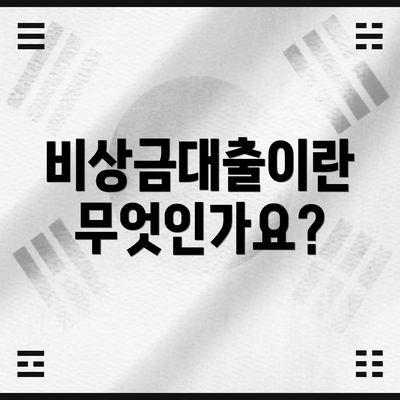 비상금대출이란 무엇인가요?